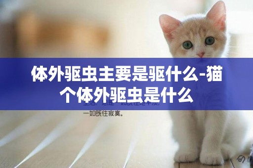 體外驅蟲主要是驅什么-貓個體外驅蟲是什么