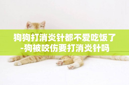 狗狗打消炎針都不愛吃飯了-狗被咬傷要打消炎針嗎