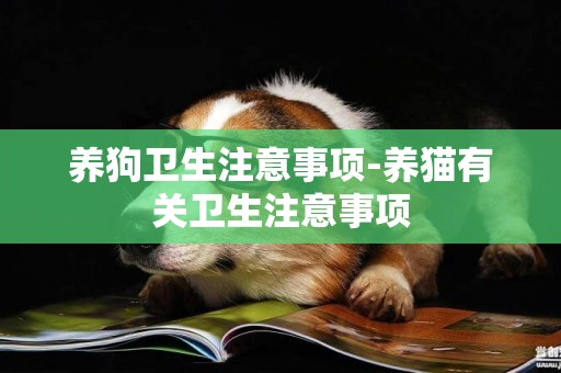 養狗衛生注意事項-養貓有關衛生注意事項