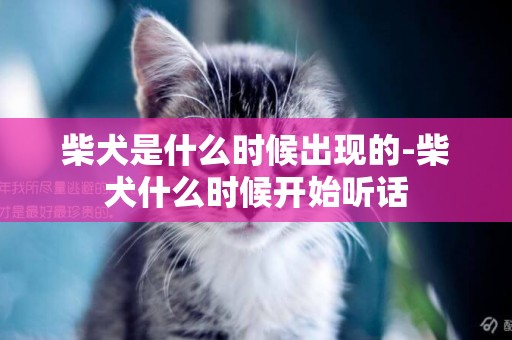 柴犬是什么時候出現的-柴犬什么時候開始聽話