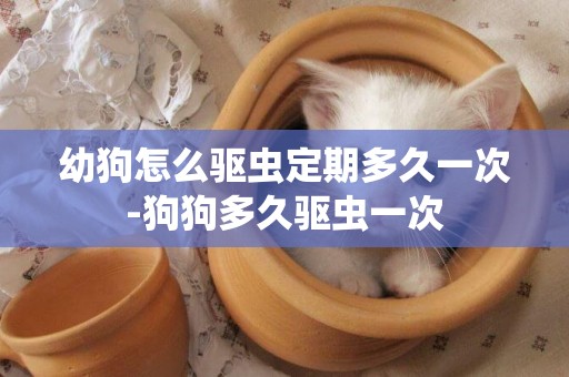 幼狗怎么驅蟲定期多久一次-狗狗多久驅蟲一次