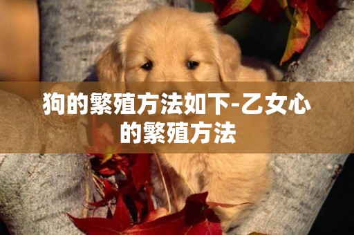 狗的繁殖方法如下-乙女心的繁殖方法