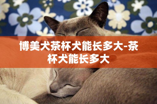 博美犬茶杯犬能長多大-茶杯犬能長多大