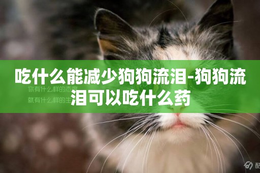 吃什么能減少狗狗流淚-狗狗流淚可以吃什么藥
