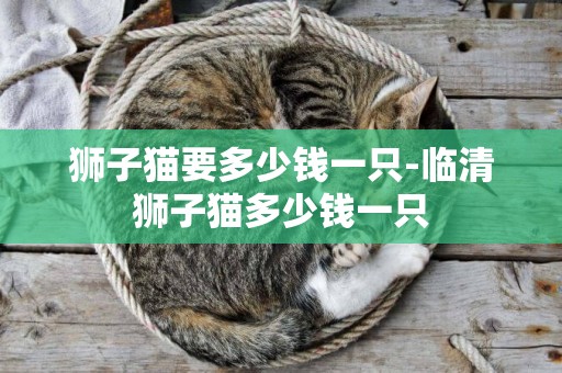 獅子貓要多少錢一只-臨清獅子貓多少錢一只