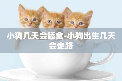 小狗幾天會舔食-小狗出生幾天會走路