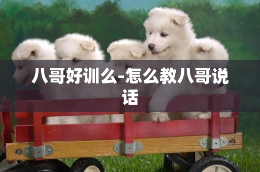 八哥好訓么-怎么教八哥說話