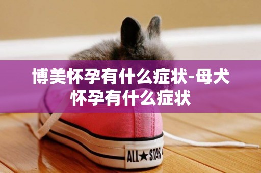 博美懷孕有什么癥狀-母犬懷孕有什么癥狀
