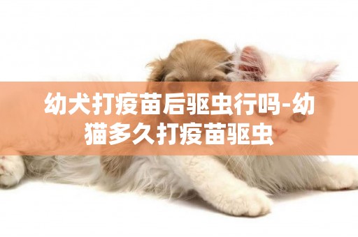 幼犬打疫苗后驅蟲行嗎-幼貓多久打疫苗驅蟲