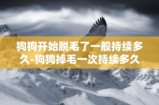 狗狗開始脫毛了一般持續多久-狗狗掉毛一次持續多久