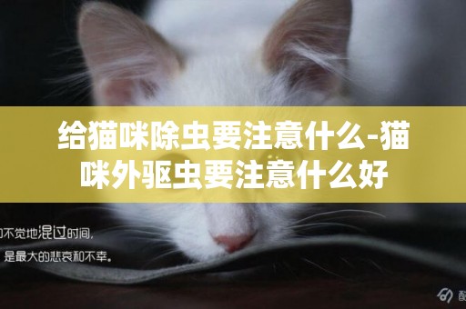 給貓咪除蟲要注意什么-貓咪外驅蟲要注意什么好