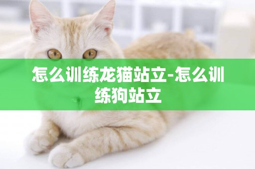 怎么訓練龍貓站立-怎么訓練狗站立
