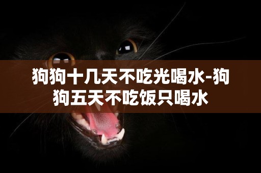狗狗十幾天不吃光喝水-狗狗五天不吃飯只喝水