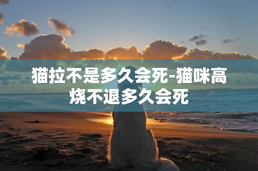 貓拉不是多久會死-貓咪高燒不退多久會死
