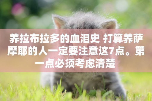 養拉布拉多的血淚史 打算養薩摩耶的人一定要注意這7點。第一點必須考慮清楚 