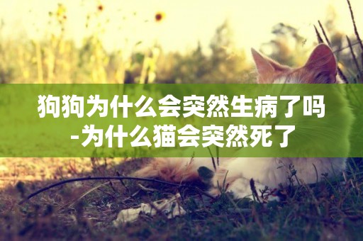 狗狗為什么會突然生病了嗎-為什么貓會突然死了