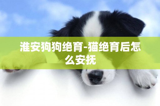 淮安狗狗絕育-貓絕育后怎么安撫