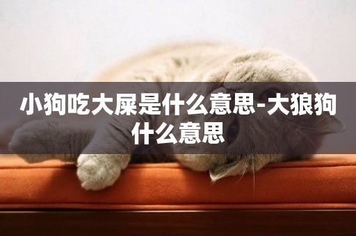 小狗吃大屎是什么意思-大狼狗什么意思