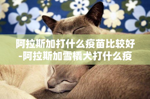 阿拉斯加打什么疫苗比較好-阿拉斯加雪橇犬打什么疫苗
