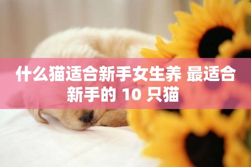 什么貓適合新手女生養 最適合新手的 10 只貓 
