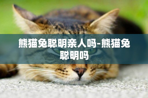 熊貓兔聰明親人嗎-熊貓兔聰明嗎