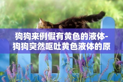 狗狗來例假有黃色的液體-狗狗突然嘔吐黃色液體的原因