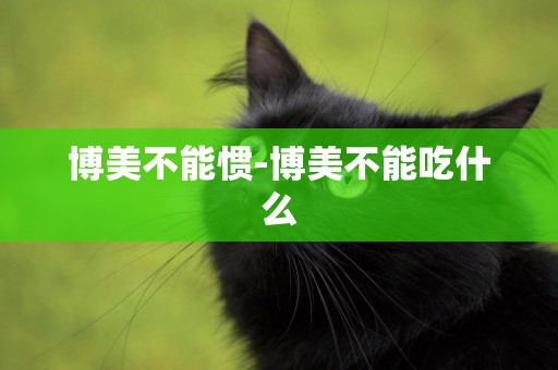 博美不能慣-博美不能吃什么
