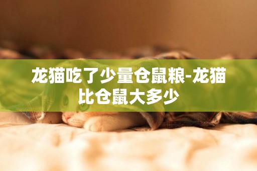 龍貓吃了少量倉鼠糧-龍貓比倉鼠大多少