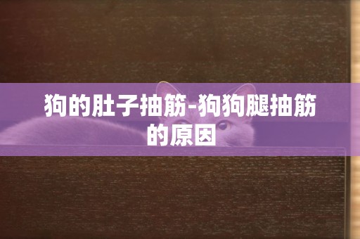 狗的肚子抽筋-狗狗腿抽筋的原因