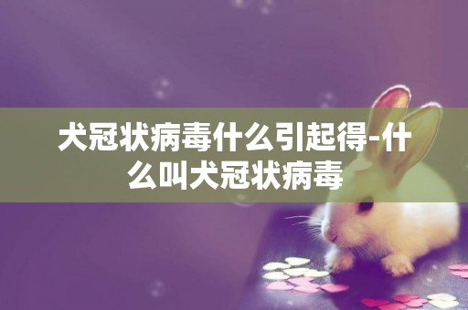 犬冠狀病毒什么引起得-什么叫犬冠狀病毒