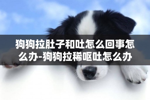 狗狗拉肚子和吐怎么回事怎么辦-狗狗拉稀嘔吐怎么辦