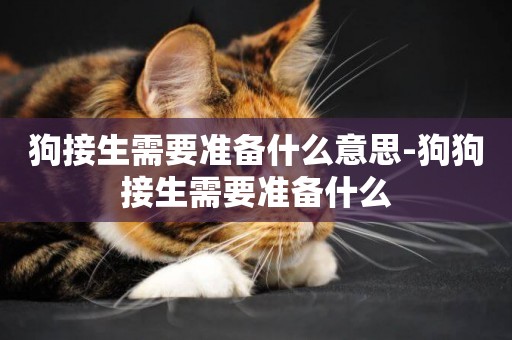 狗接生需要準備什么意思-狗狗接生需要準備什么