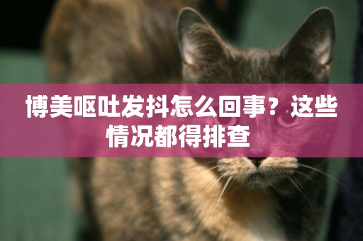 博美嘔吐發抖怎么回事？這些情況都得排查 