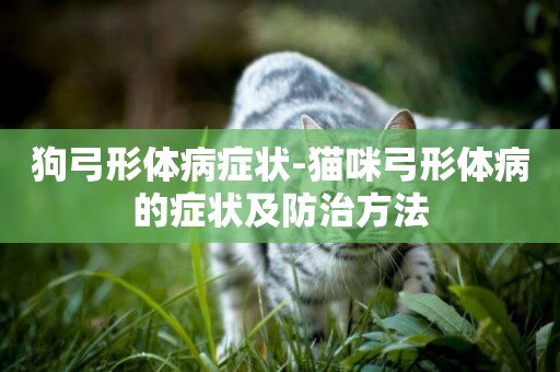 狗弓形體病癥狀-貓咪弓形體病的癥狀及防治方法