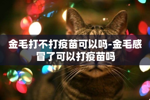 金毛打不打疫苗可以嗎-金毛感冒了可以打疫苗嗎