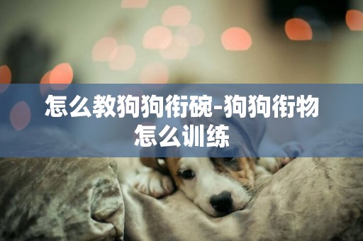 怎么教狗狗銜碗-狗狗銜物怎么訓練