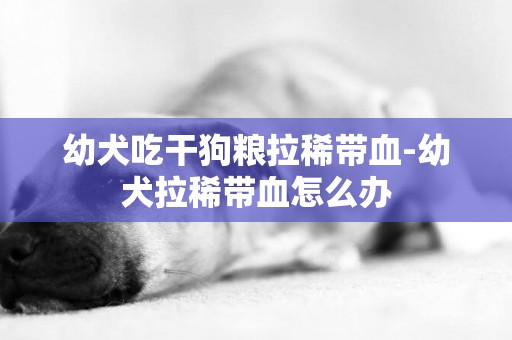 幼犬吃干狗糧拉稀帶血-幼犬拉稀帶血怎么辦