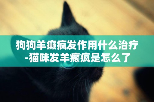 狗狗羊癲瘋發作用什么治療-貓咪發羊癲瘋是怎么了