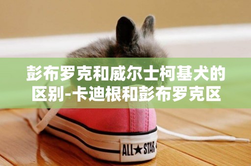 彭布羅克和威爾士柯基犬的區別-卡迪根和彭布羅克區別