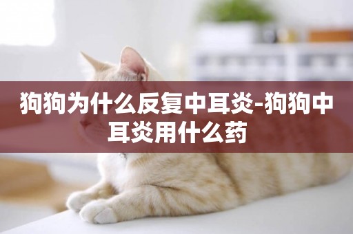 狗狗為什么反復中耳炎-狗狗中耳炎用什么藥