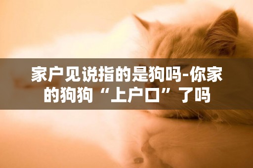 家戶見說指的是狗嗎-你家的狗狗“上戶口”了嗎
