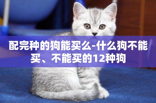 配完種的狗能買么-什么狗不能買、不能買的12種狗