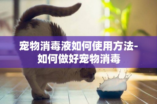 寵物消毒液如何使用方法-如何做好寵物消毒
