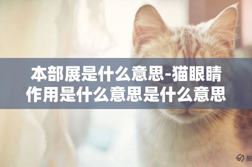 本部展是什么意思-貓眼睛作用是什么意思是什么意思是什么意思