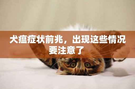 犬瘟癥狀前兆，出現這些情況要注意了 