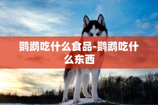 鸚鵡吃什么食品-鸚鵡吃什么東西