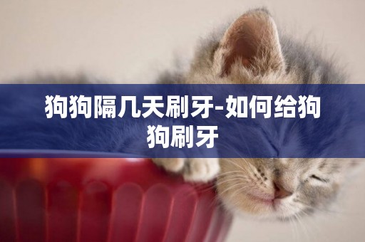 狗狗隔幾天刷牙-如何給狗狗刷牙
