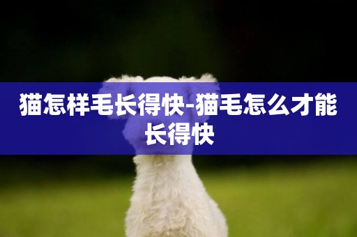 貓怎樣毛長得快-貓毛怎么才能長得快