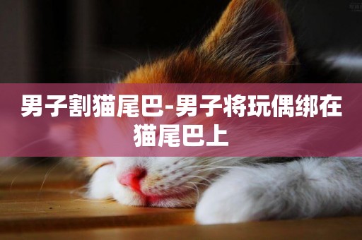 男子割貓尾巴-男子將玩偶綁在貓尾巴上