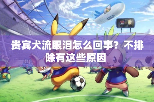貴賓犬流眼淚怎么回事？不排除有這些原因 